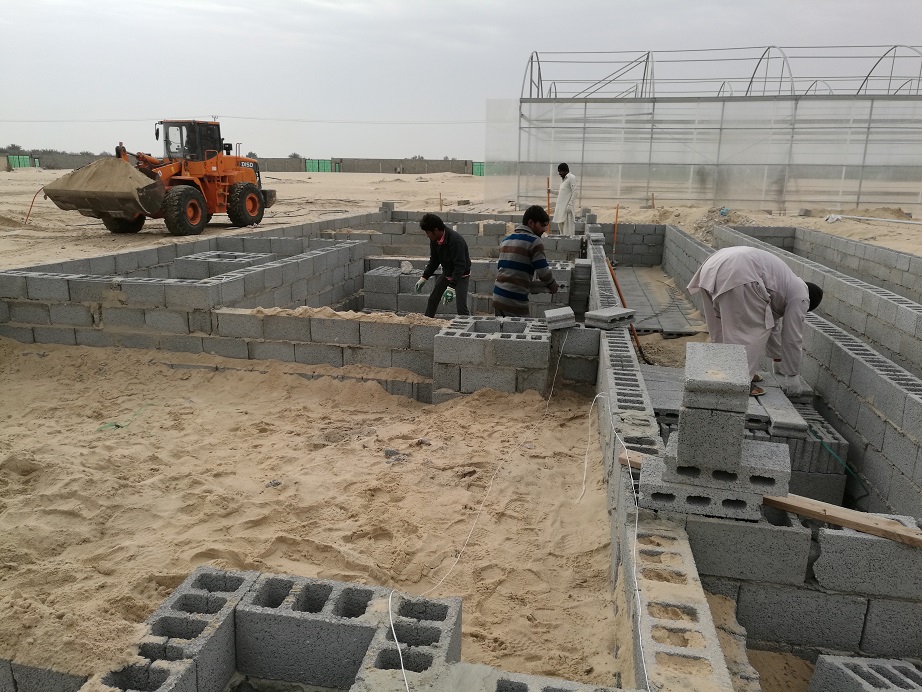 بناء برك تربية الأسماك